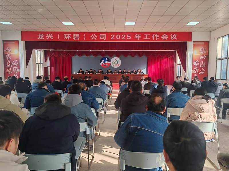 龙兴（leyucom乐鱼（中国）一站式体育服务,官网
）公司召开2025年工作会议